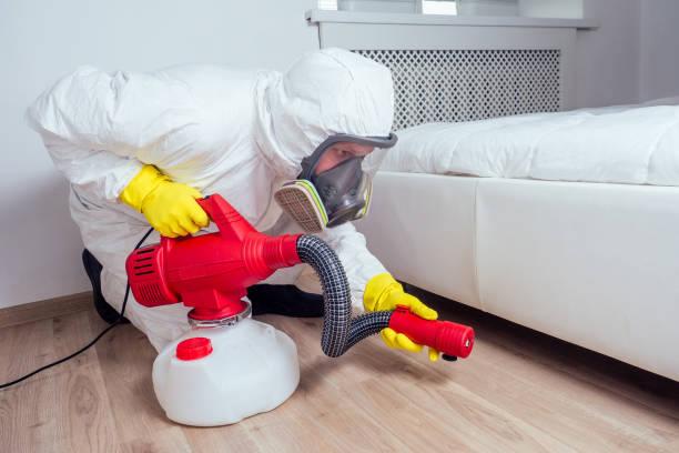 Best Wasp Removal Services  in Glassport, PA