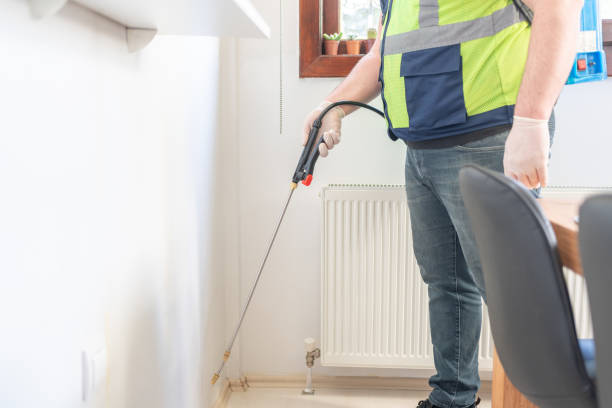 Best Wasp Removal Services  in Glassport, PA