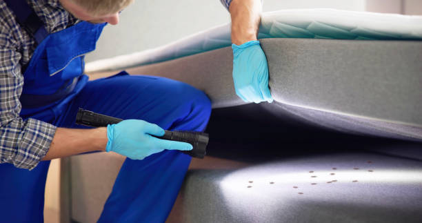 Best Ant Control Services  in Glassport, PA