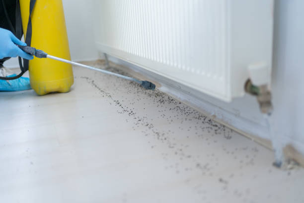 Best Mosquito Control Services  in Glassport, PA